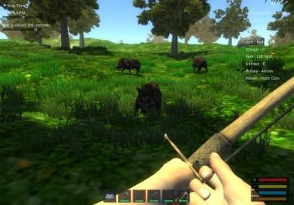 Forest Survival Simulator